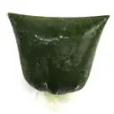 FRV135.webp