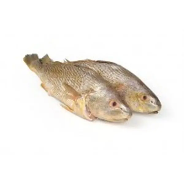 FRM150.webp