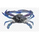 FRH102.webp