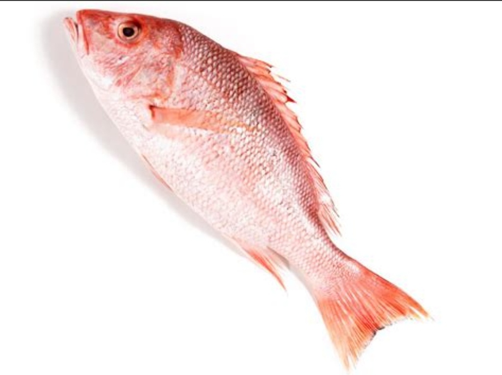 Red Snapper (Sea Bream) Clean & Iwp 1200/1800gm Grand Poisson 10kg 