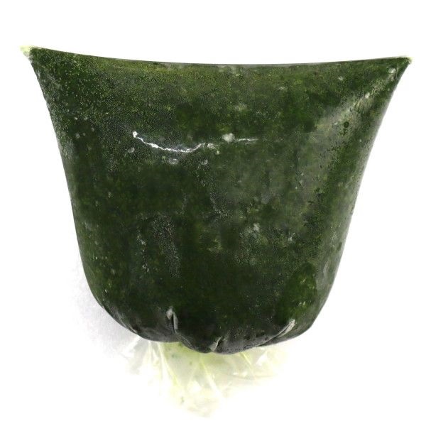 Guinea Fresh Pondu 30x500gm 