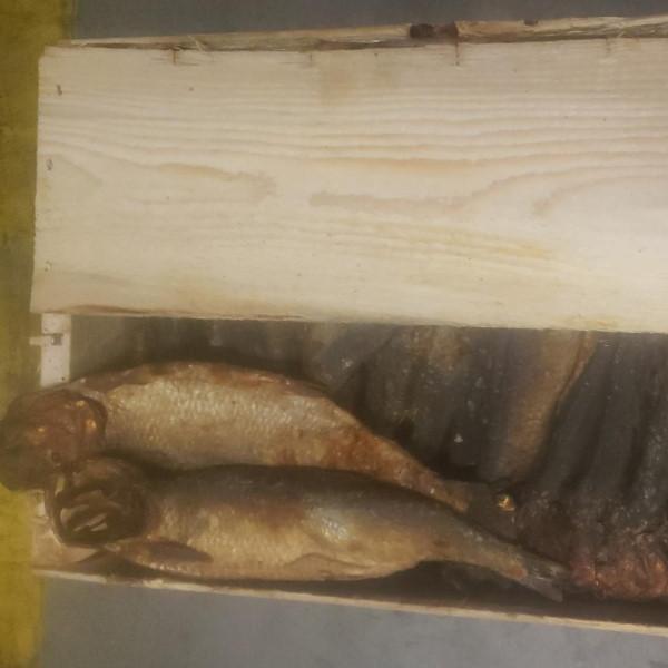 Herring Fume Mpiodi Canada 8.2kg