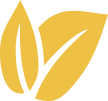 Category Image