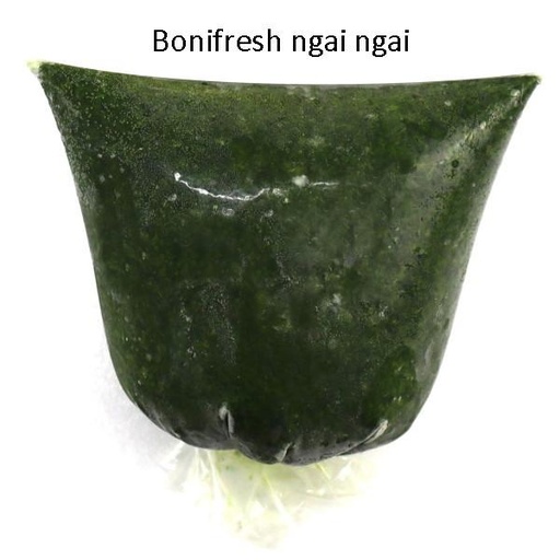 [FRV130] Ngai Ngai Leaves Frozen Cameron 15x500gm.