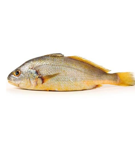 [FRM248] HBF Croaker/ Malua Clean (WGS) 400/800gm 5kg.