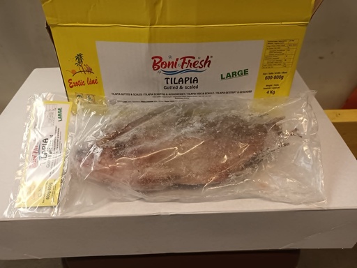 [FRM187] Bonifresh Tilapia Black Clean Large 600/800 Mosambic 4kg. 