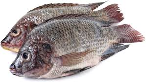 [F10043] Bonifresh Tilapia Black Clean Medium 400/600 Mosambic 4kg.