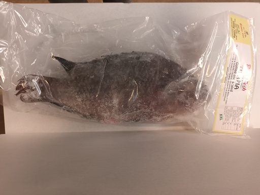 [FRM222] Bonifresh Tilapia Black Clean Medium 400/600 Mosambic 4kg.