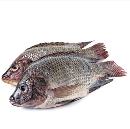 [F10046] Bonifresh Tilapia Black Clean XXXL 1200/1600 Mosambic 8kg. 