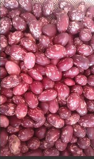 Harricot Rouge Du uganda/Red Beans 12x1kg.