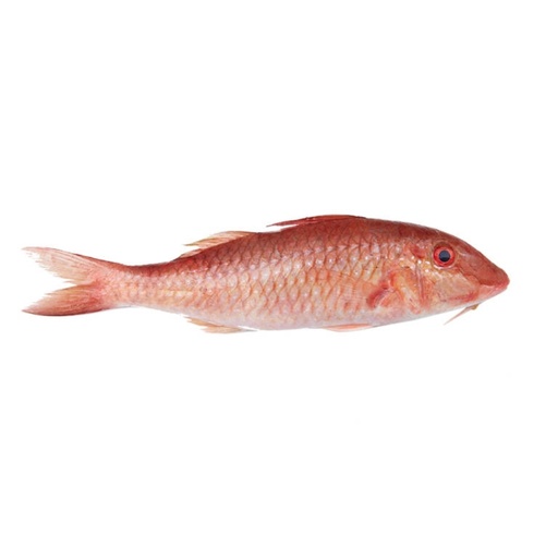 Mullet Senegal Not Clean 400gm up 20kg.
