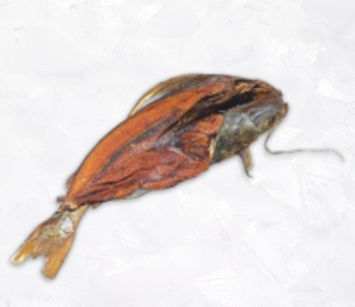 [F10090] Kupila/Catfish/Wit Wittie Smoked IWP Jona Packed 3kg.