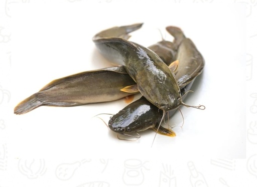 Cat Fish/Ngolo DSD 300-500Gm 4kg.