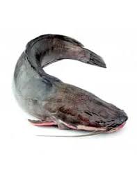 [F10025] Bonifresh Cat Fish / Ngolo Large 500-800gm 4kg