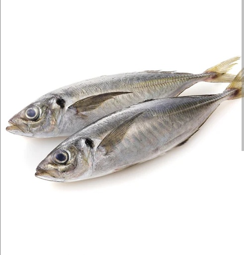 [F10085] Horse Mackerel Chilly 4.5kg. 