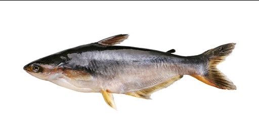 [FRM251] Bonifresh Pangasius 900gm Large 4kg 