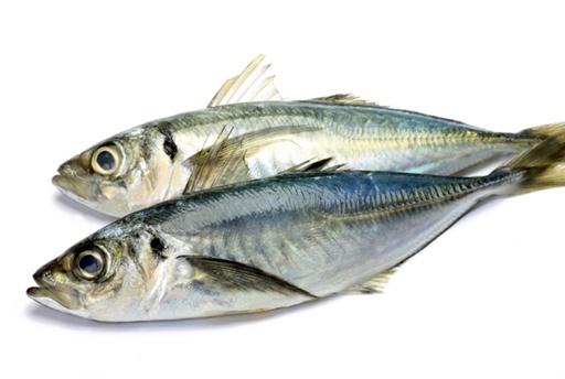Bonifresh Horse Mackerel 2/3 Pcs Kilo 10kg BULK.