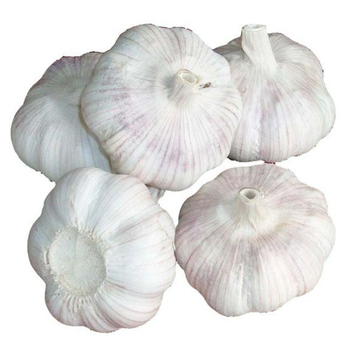 [F10456] Garlic Fresh (Cat 1) China 25X200gm.