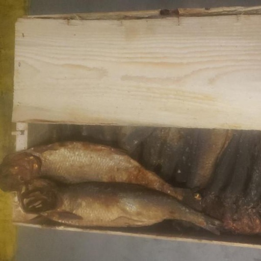 [P11600] Herring Fume Mpiodi Canada 8.2kg