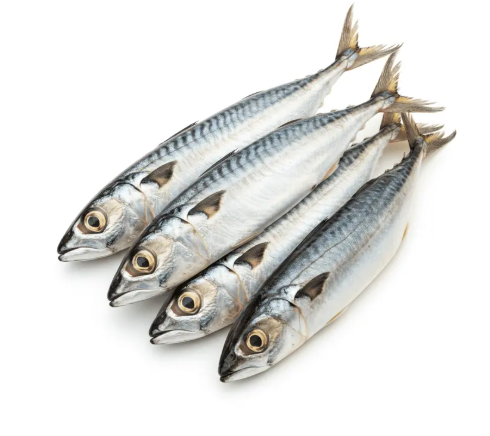 [F10082] Star Pride Horse Mackerel 2/3pcs Kilo 10x1kg PACKED. 