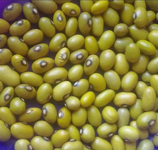 [ART134] The Prince Green Beans / Haricot Vert 12x800gm. 